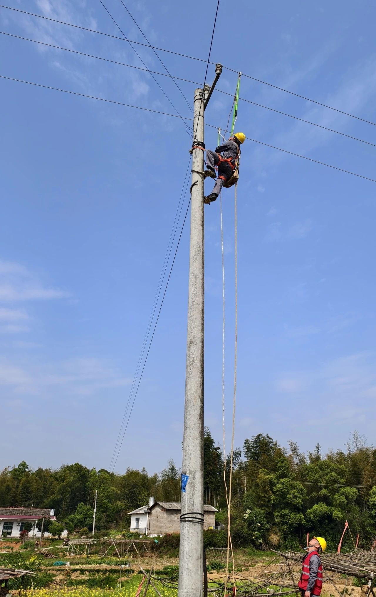新聞動(dòng)態(tài)
